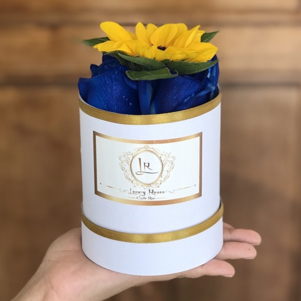 Caja de 5 Rosas + Girasol – Floristería y Regalos Luxury Roses