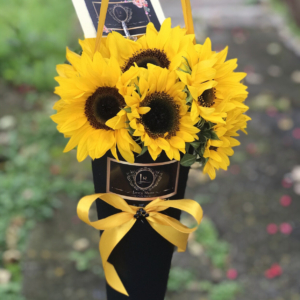 Girasoles – Floristería y Regalos Luxury Roses